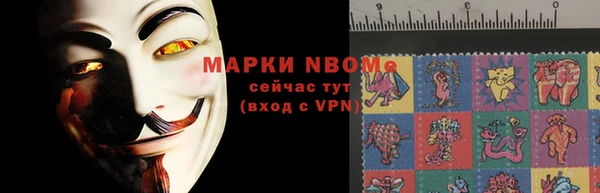 соль ск Дмитров