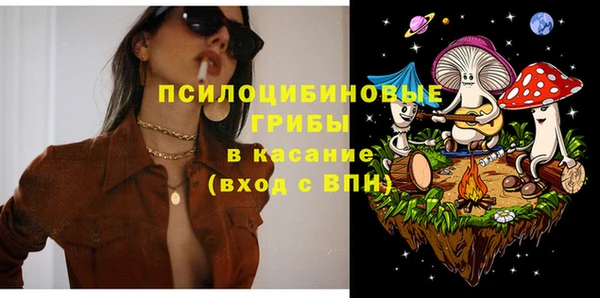 стафф Елизово
