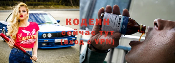 соль ск Дмитров