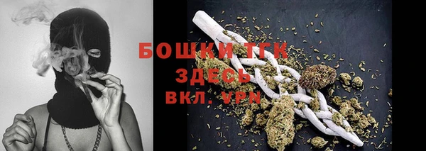 соль ск Дмитров